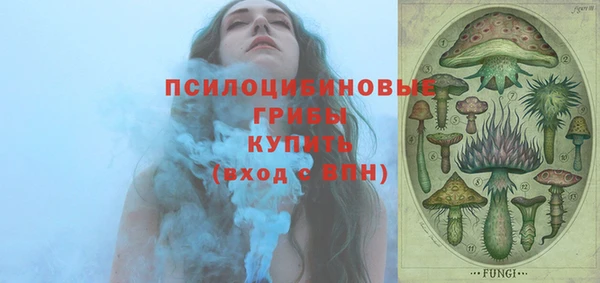 apvp Михайлов