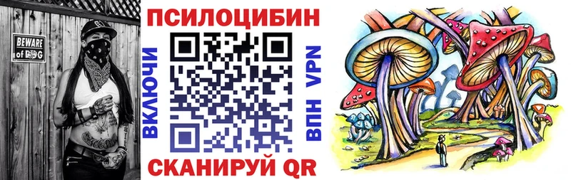 Галлюциногенные грибы Psilocybine cubensis  Мамадыш 