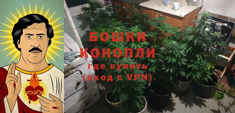 Бошки Шишки LSD WEED  Мамадыш 